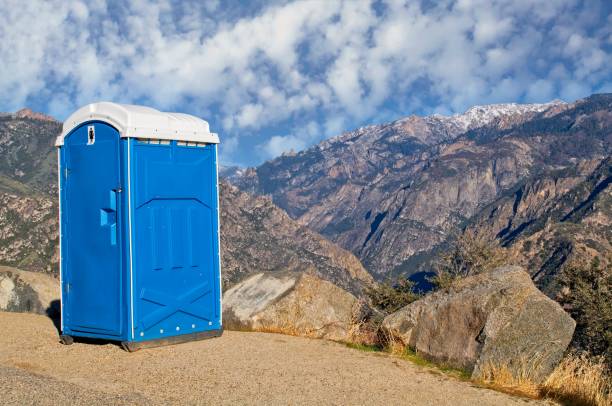 Best Sanitation services for porta potties  in Ferndale, PA